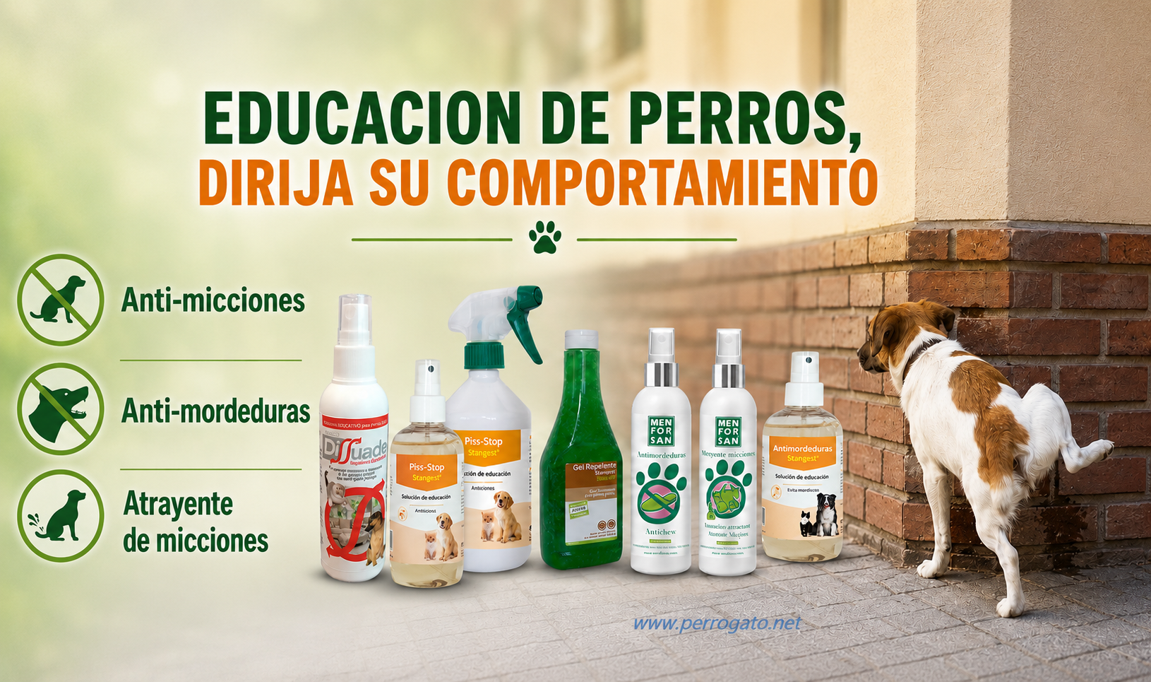 Educaci&oacute;n anti-micciones